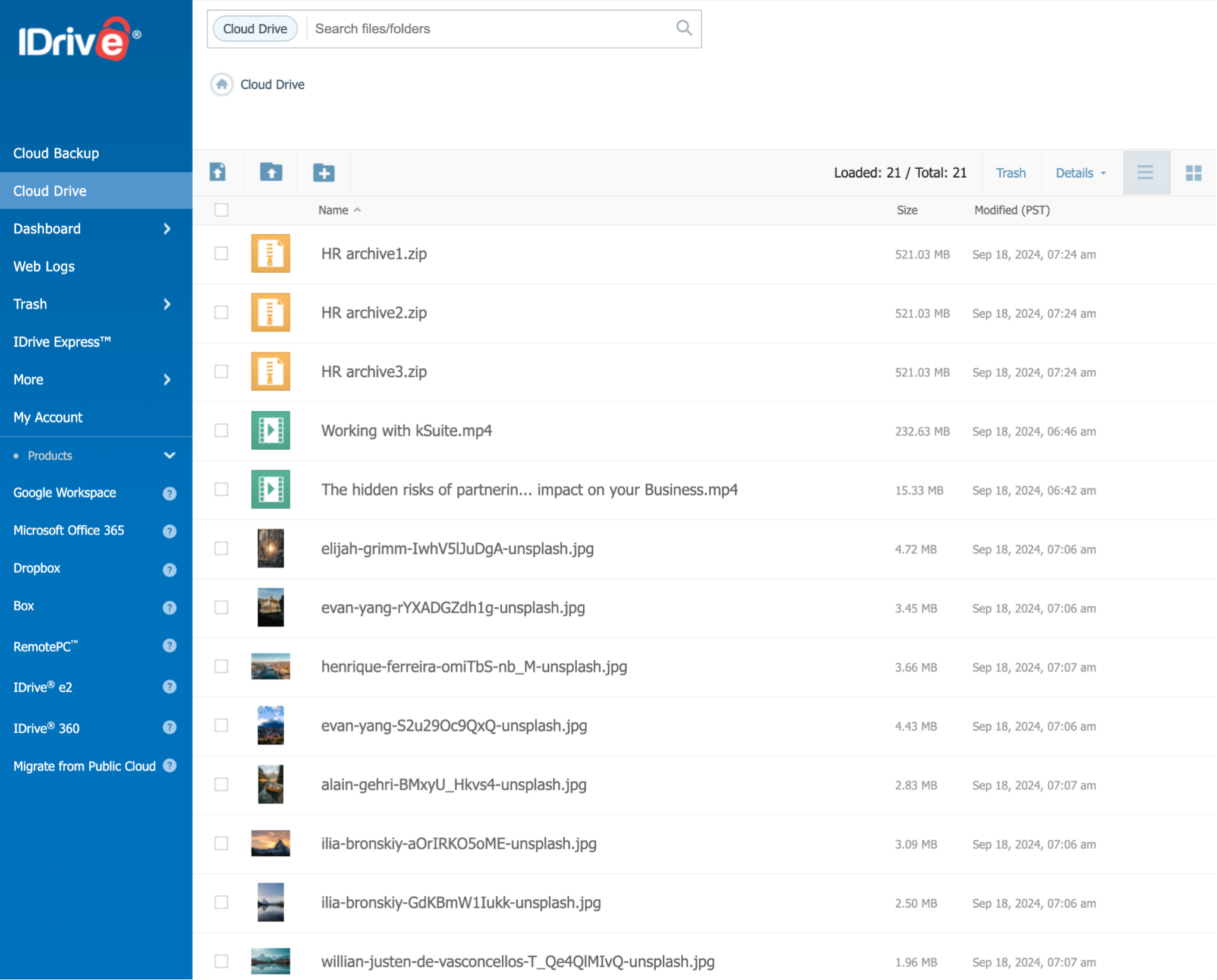 Schermata dell'interfaccia Web di iDrive con il pannello di controllo del backup e la gestione dei file