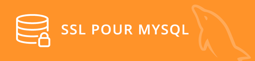 Soporte de SSL para MySQL